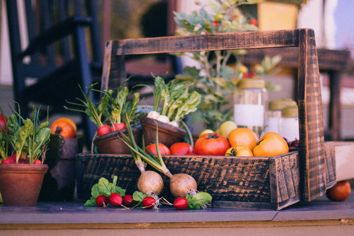 Garden Alchemy: DIY Recipes for Organic Gardeners