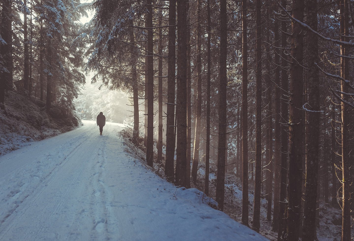 Walking: The Cure for What Ails You - Eartheasy