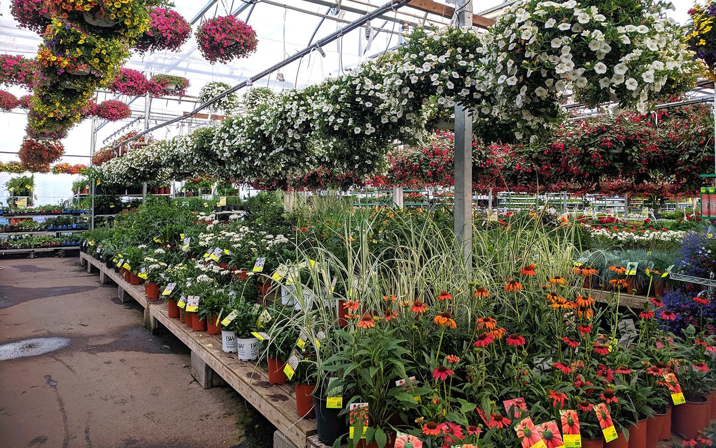 What is Your Growing Zone and How Do You Find It? - Eartheasy