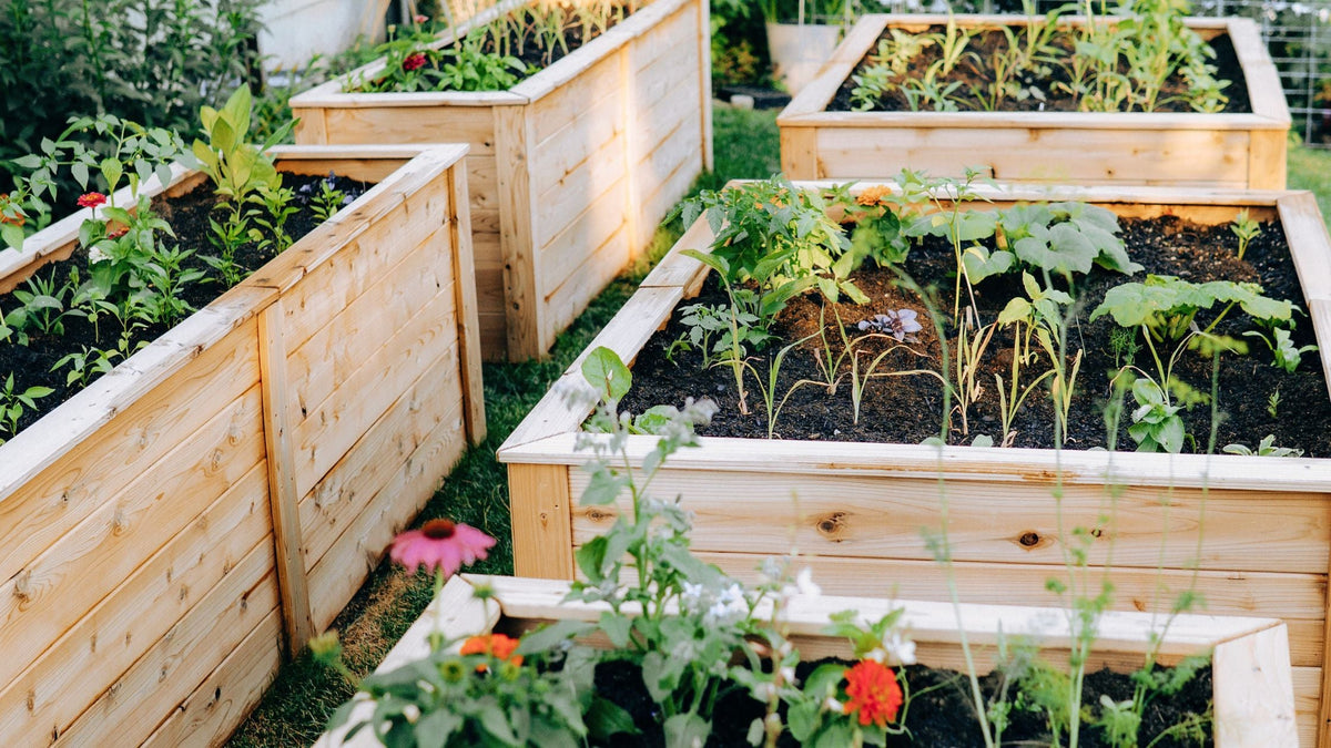 Best Raised Garden Beds of 2026:  A Buyer's Guide