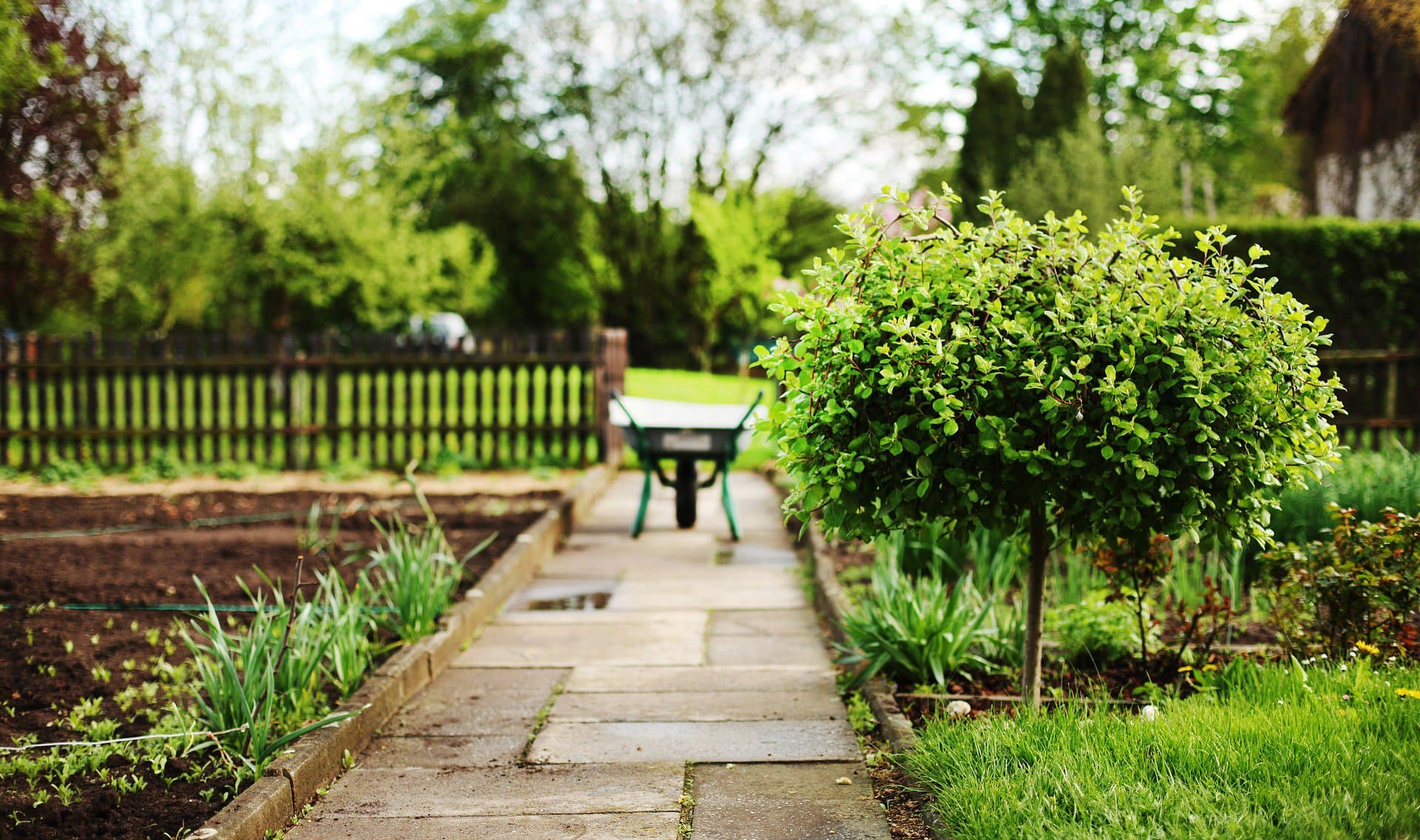 Victory Gardens Are Back. Here’s How to Plant Yours.