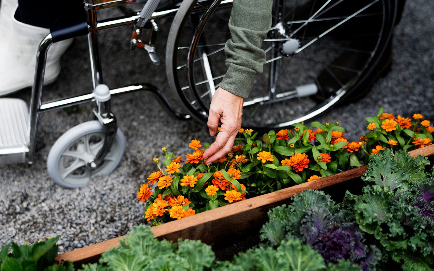 Wheelchair Gardening Tips - Eartheasy