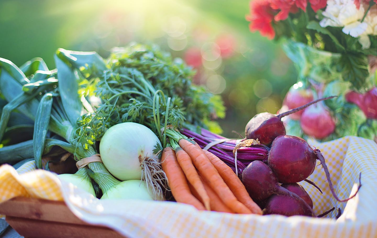 Winter Gardening: Best Crops to Extend Your Harvest - Eartheasy