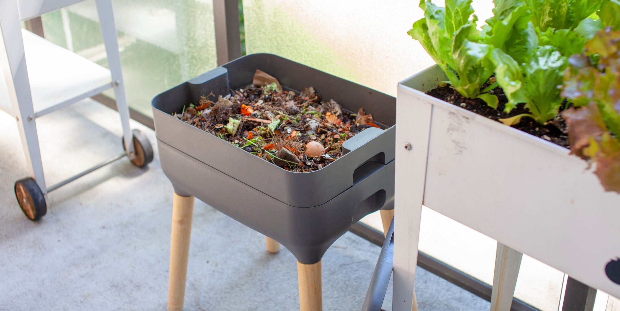 How to Speed Up Worm Composting