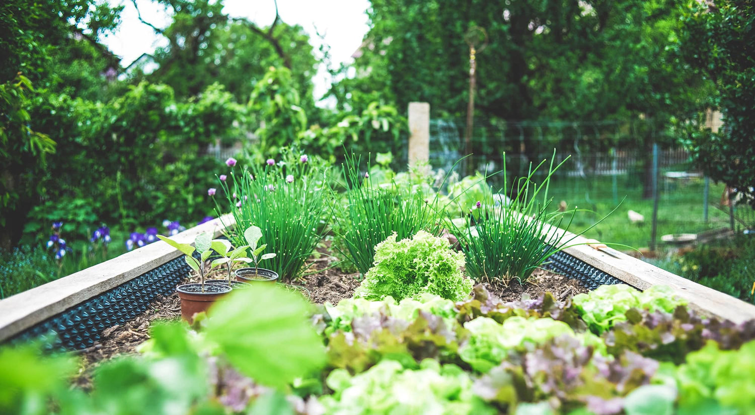 A Year Round Guide to Raised Garden Beds