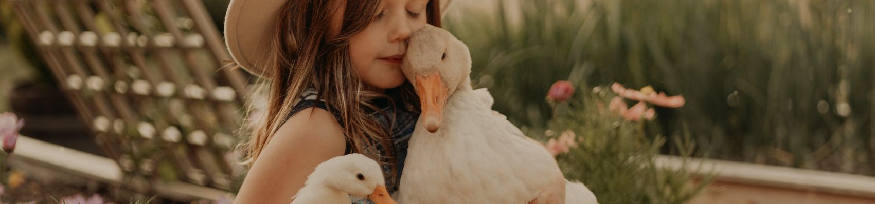 Early Bird Sale - Eartheasy