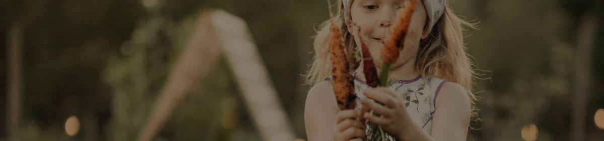 Fall Harvest Sale