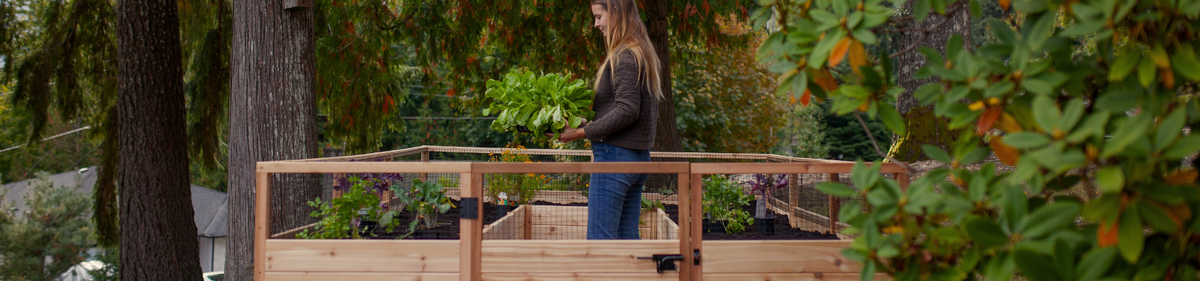 Fall Harvest Sale