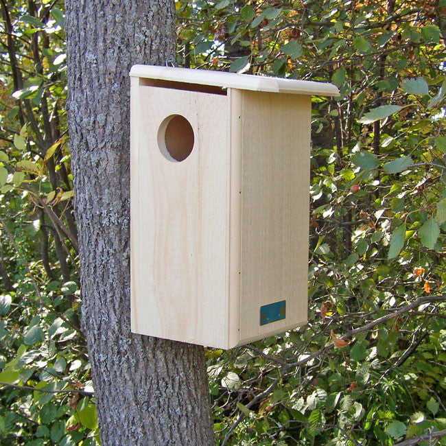 Wooden Squirrel House