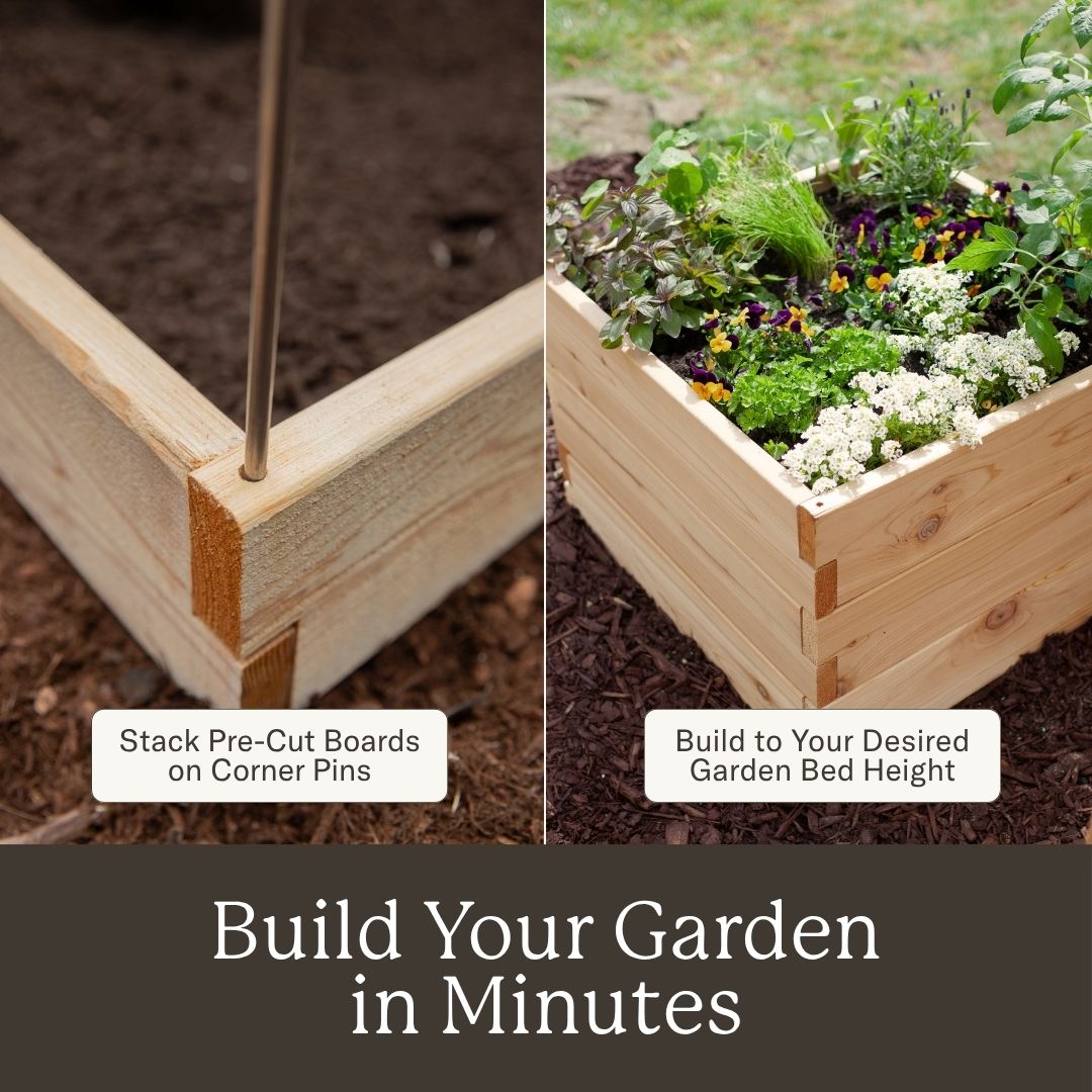 Classic Natural Cedar L-Shaped Raised Garden Beds