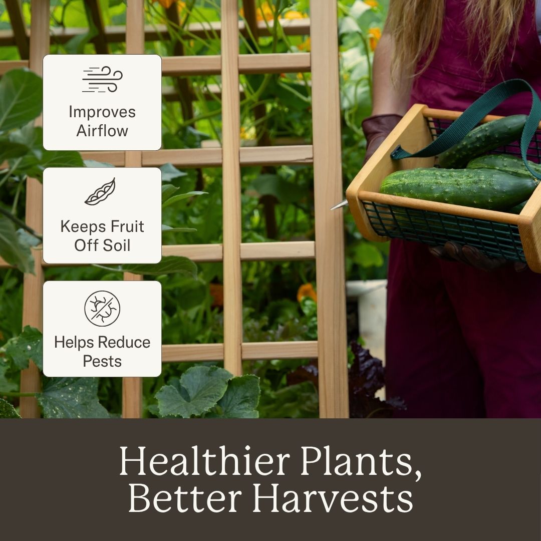 Natural Cedar A-Frame Trellises