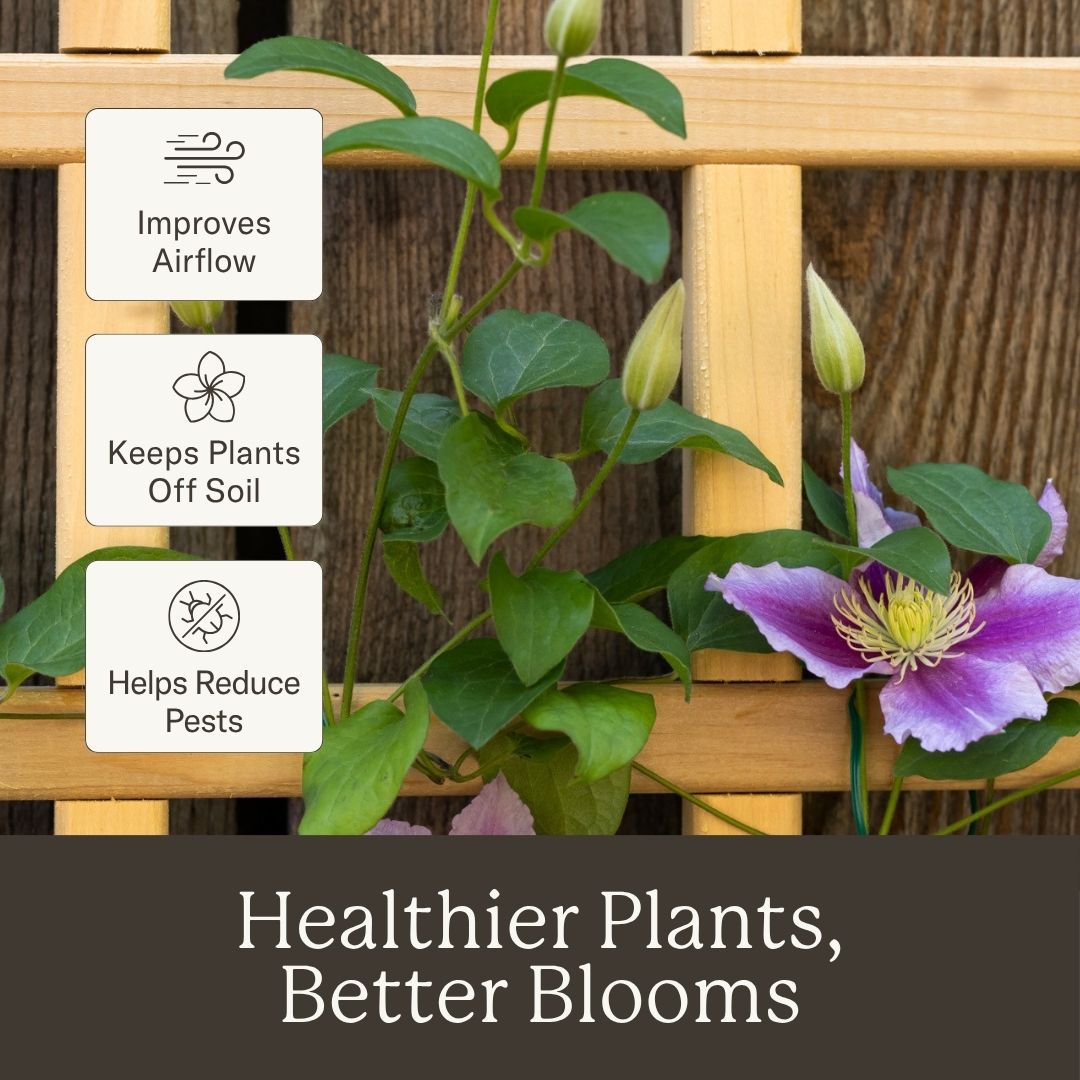 Natural Cedar Wall Mounted Trellises