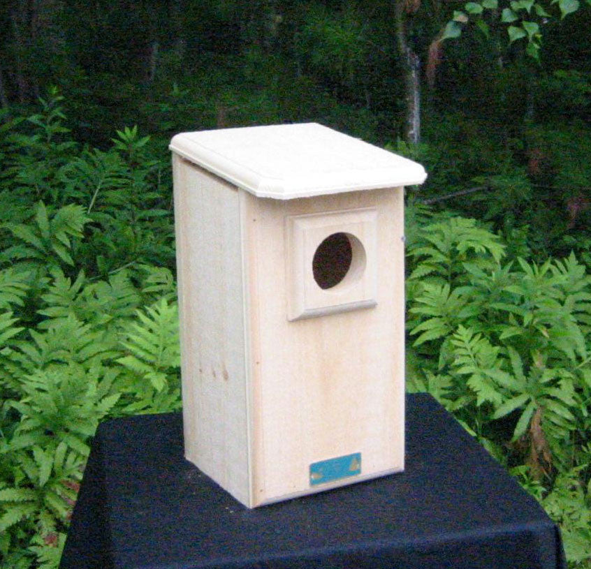 Saw-Whet Owl / Screech Owl House