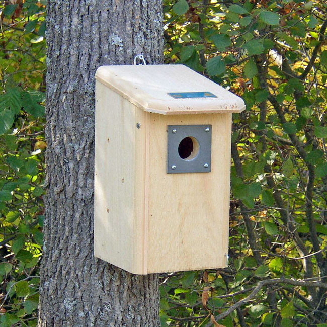 Summer Nest Box with entry at the top