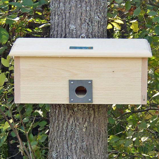 Horizontal Wooden Winter Roost