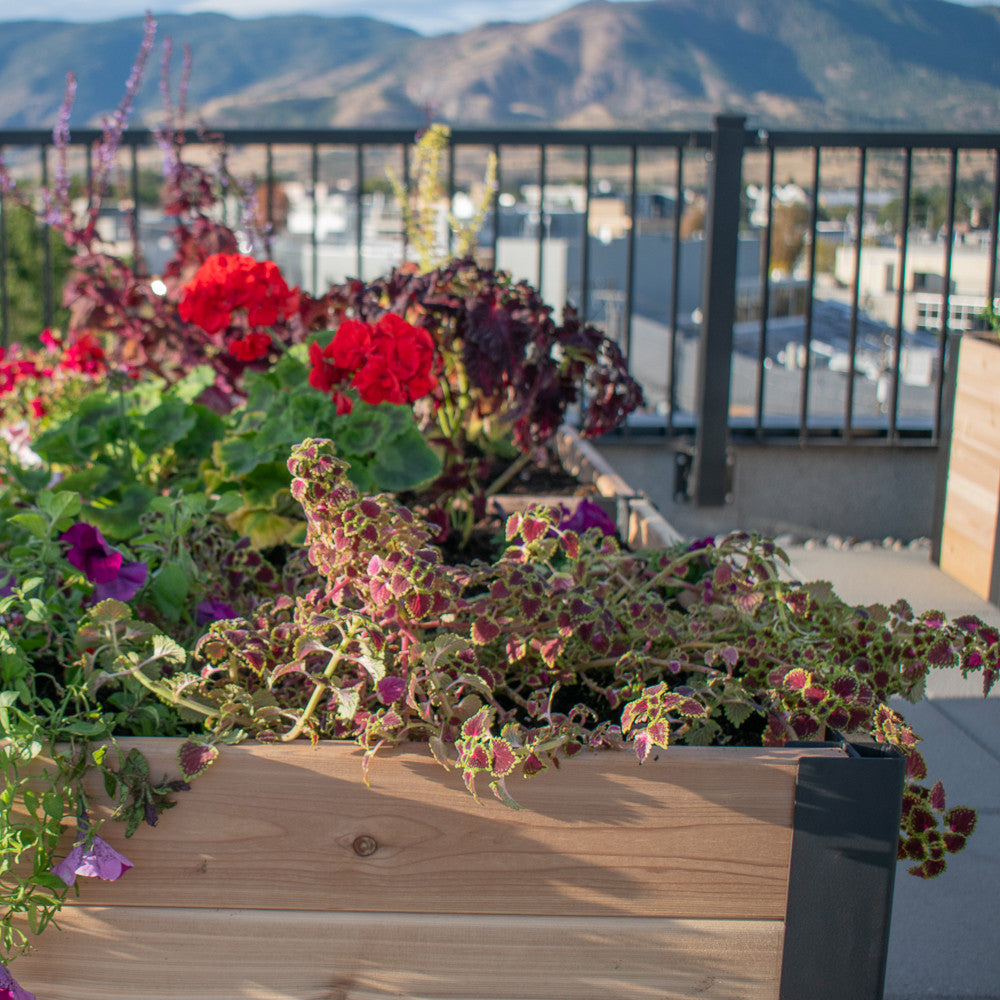Urban Raised Garden Bed Planter 3' x 6'