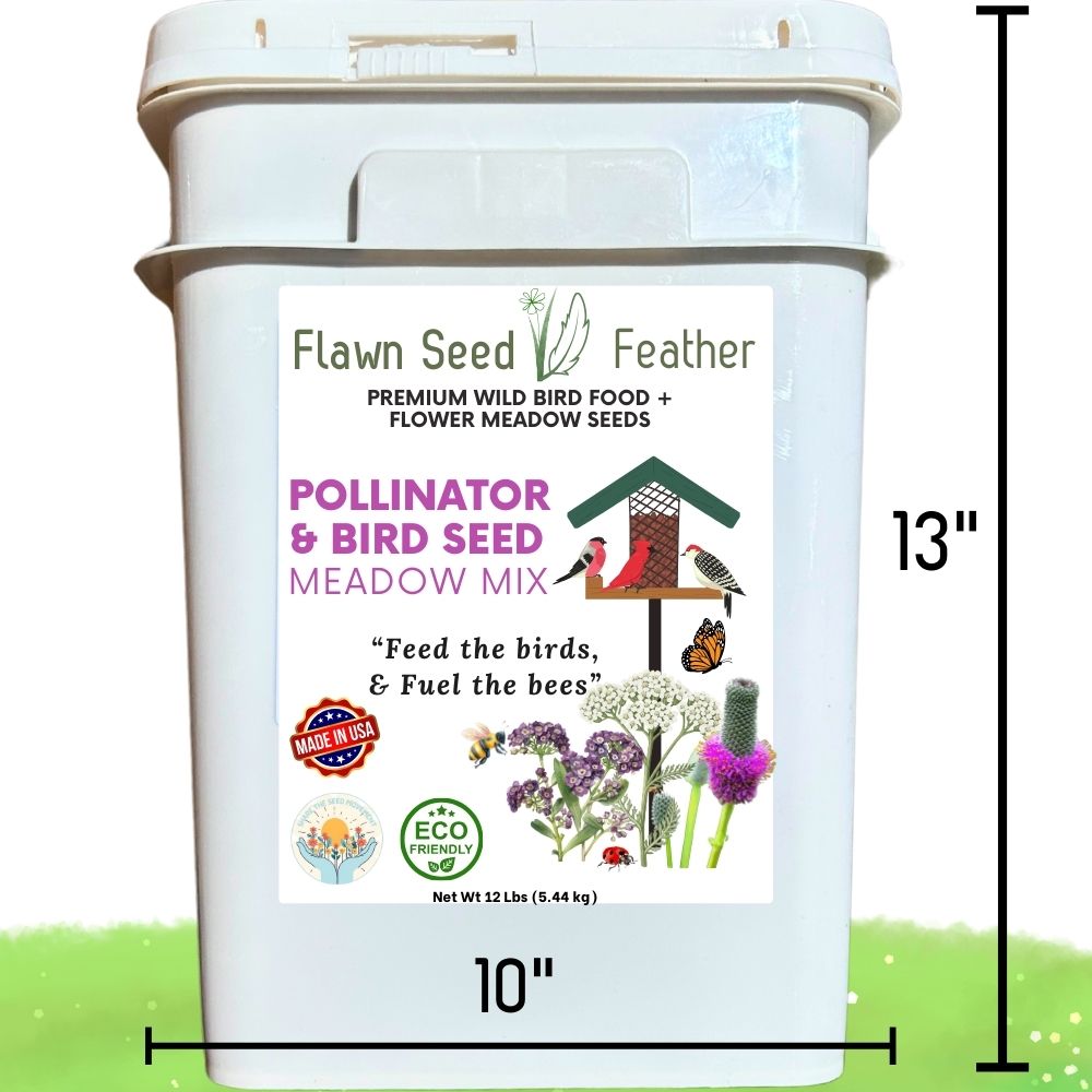 Premium Pollinator & Wild Bird Seed Mix - Flowering Meadow Blend