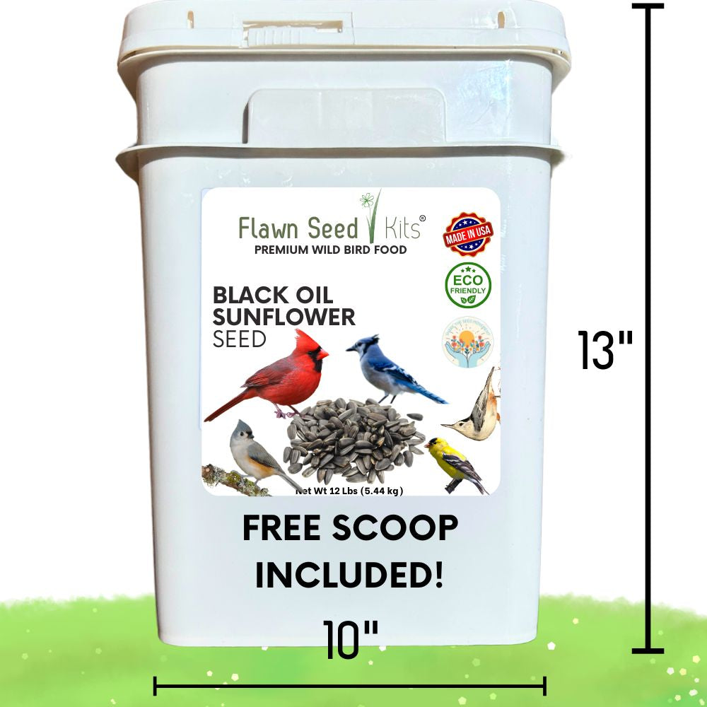 Premium Wild Bird Seed - Black Oil Sunflower