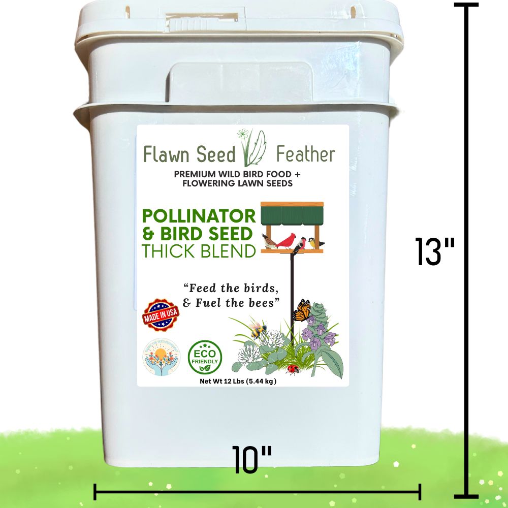 garden friendly bird seed Pollinator & Wild Bird Seed Thick Bee Lawn Blend 4 lb Jug