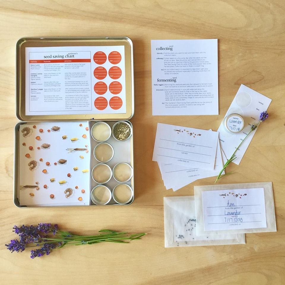 saving lavender seeds Gardener's Seed Saving Kit