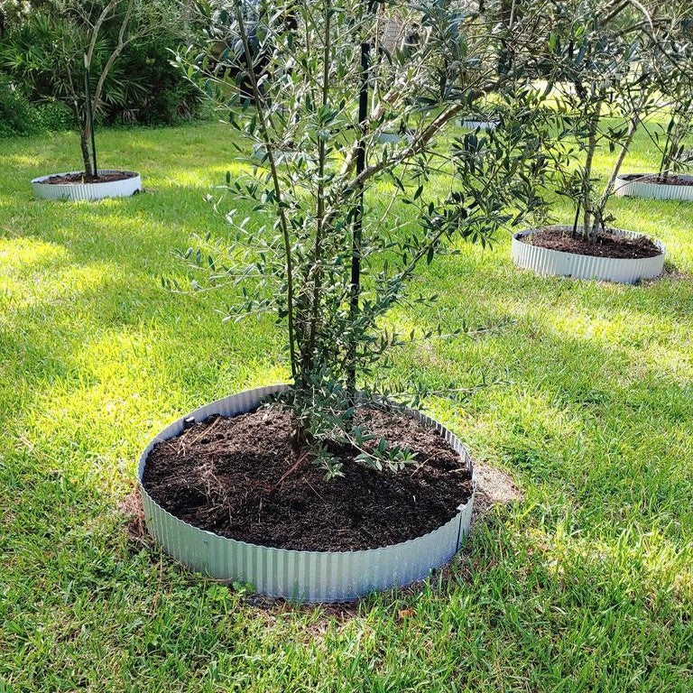 Corrugated Metal Landscape Edging - 10' Lengths
