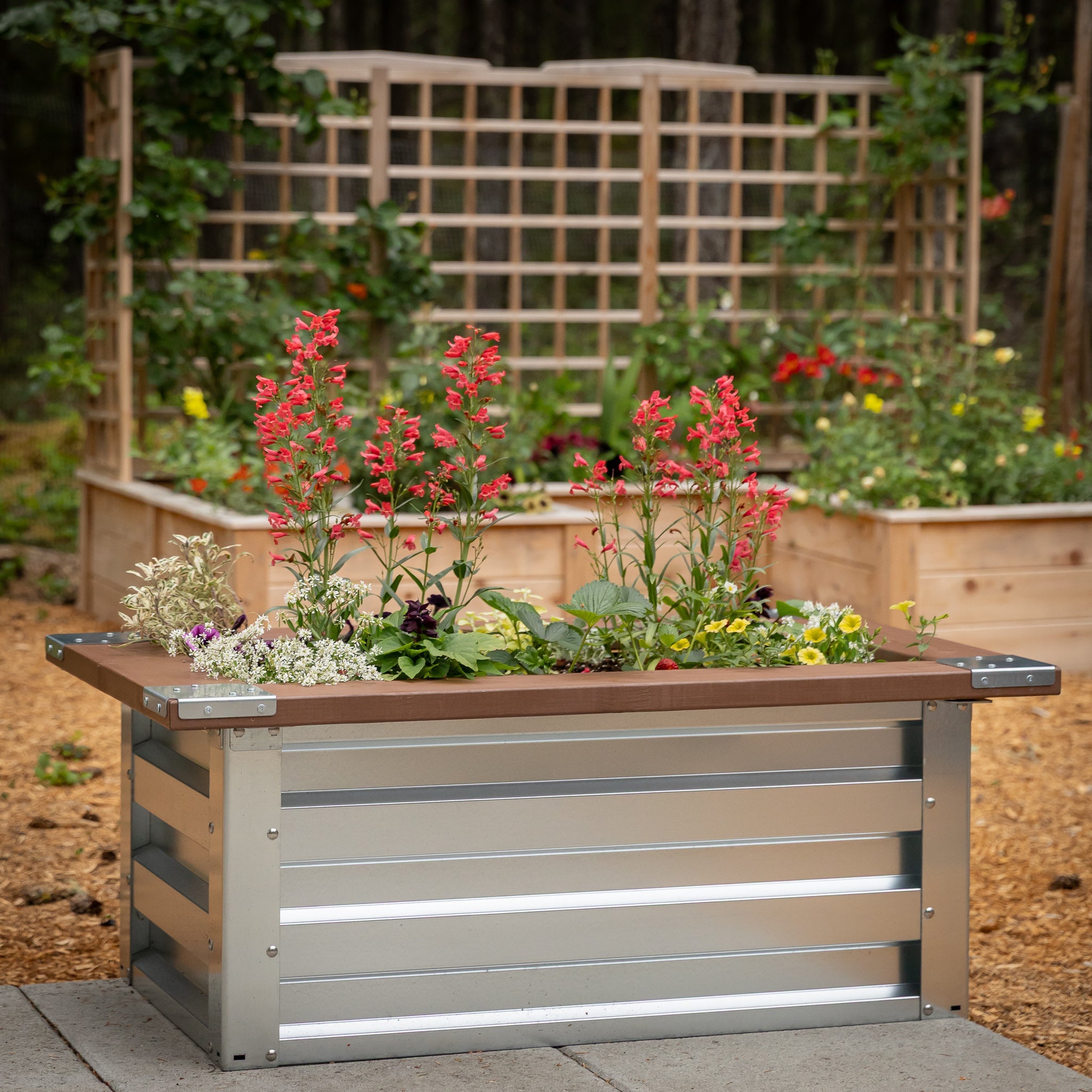 2' x 3.5' Galvanized Steel Raised Garden Bed Kit Chrome option3