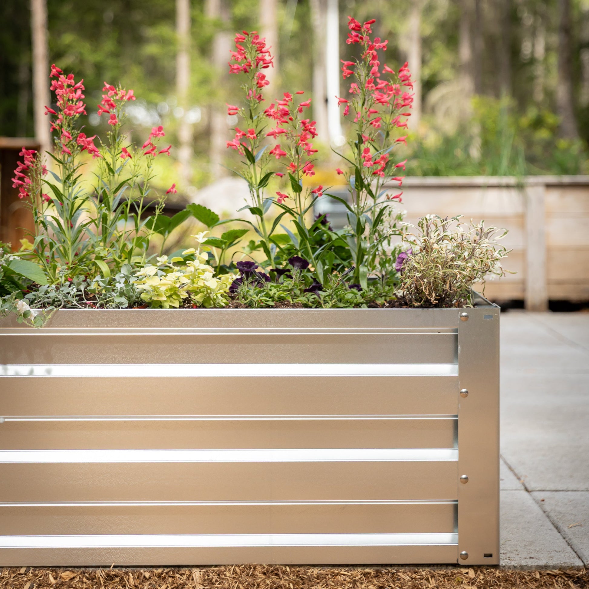 2' x 3.5' Galvanized Steel Raised Garden Bed Kit Chrome