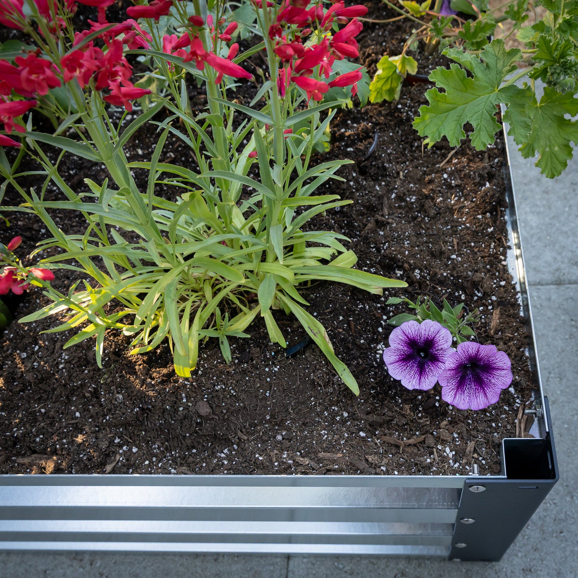 2' x 3.5' Galvanized Steel Raised Garden Bed Kit Chrome