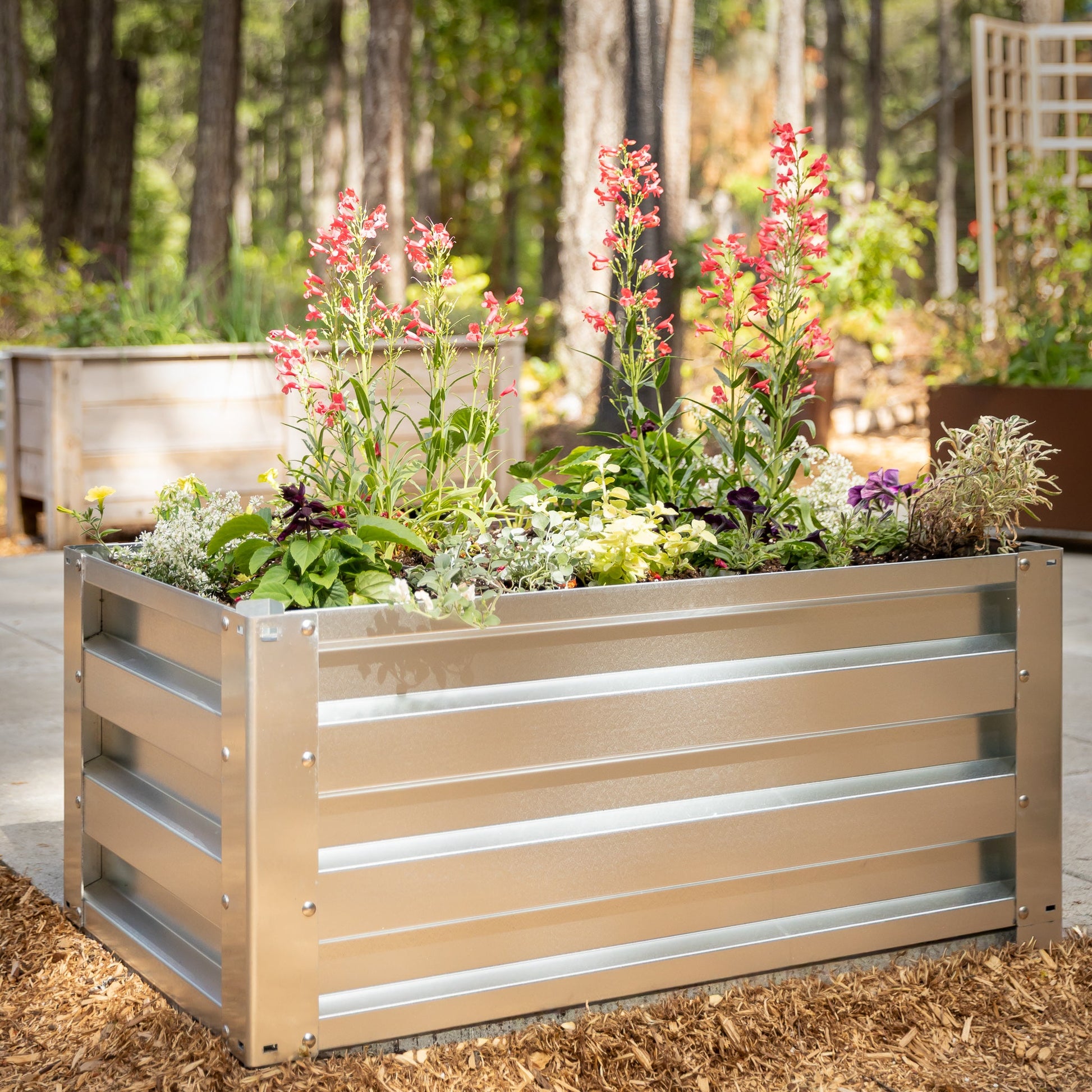 2' x 3.5' Galvanized Steel Raised Garden Bed Kit Chrome