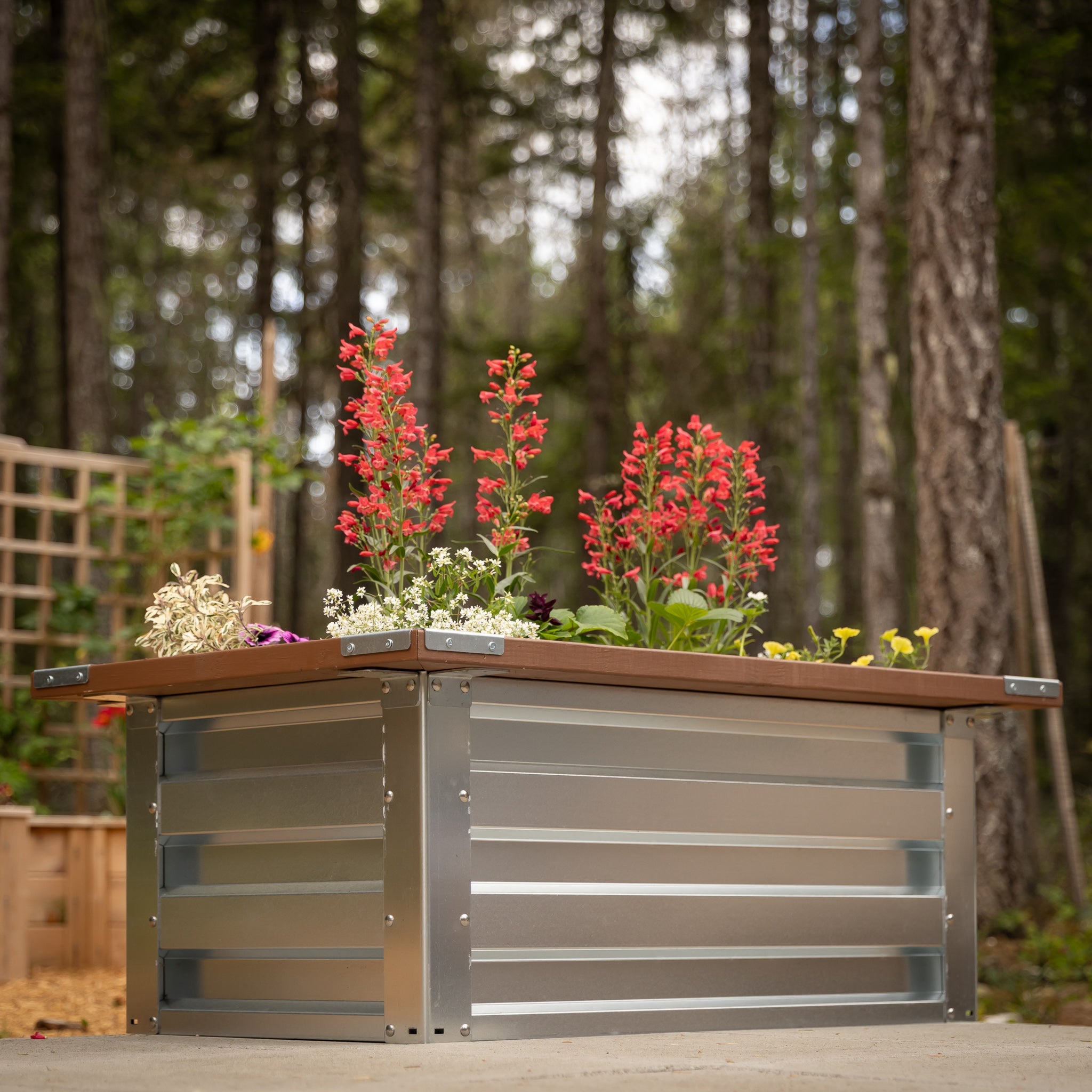 2' x 3.5' Galvanized Steel Raised Garden Bed Kit Chrome