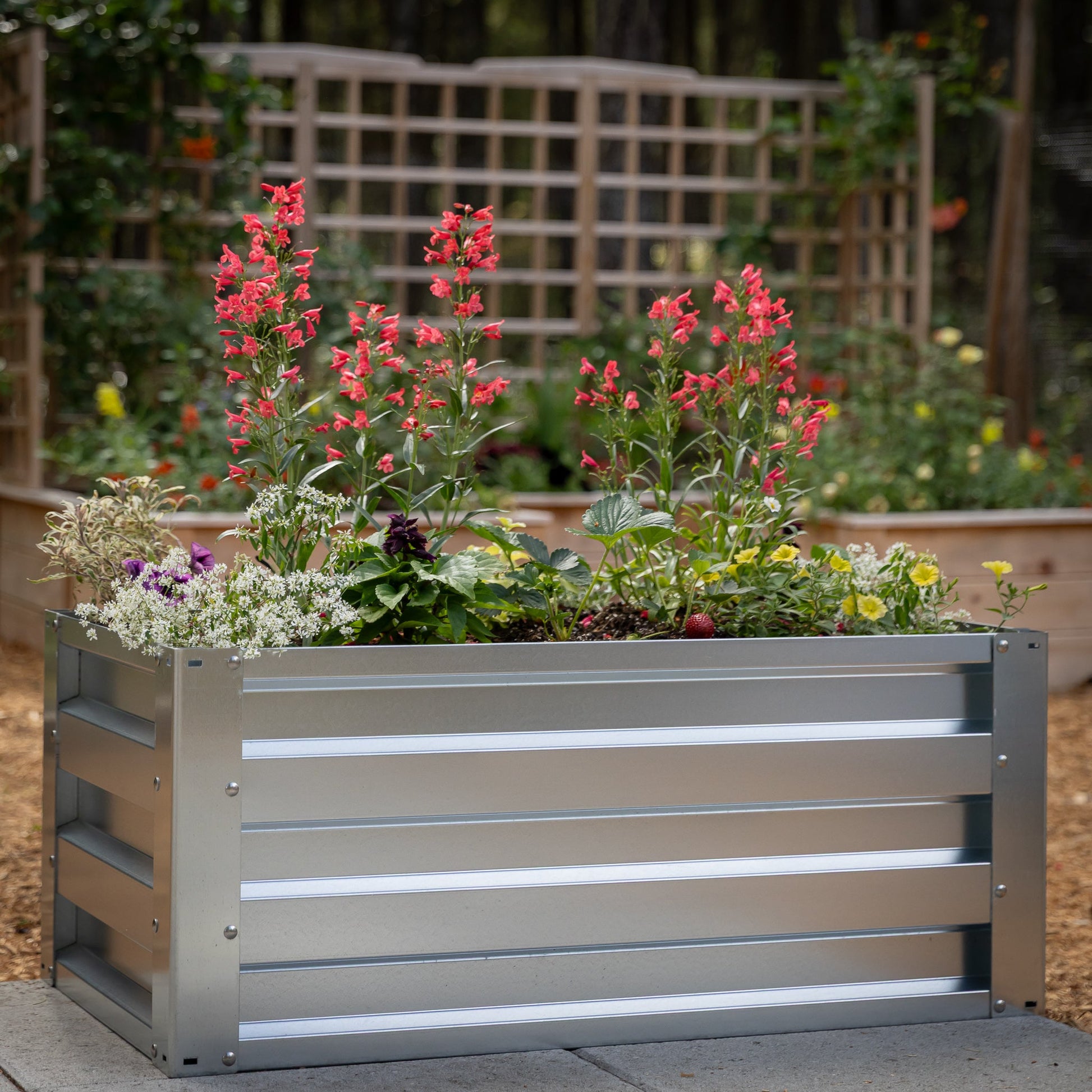 2' x 3.5' Galvanized Steel Raised Garden Bed Kit Chrome