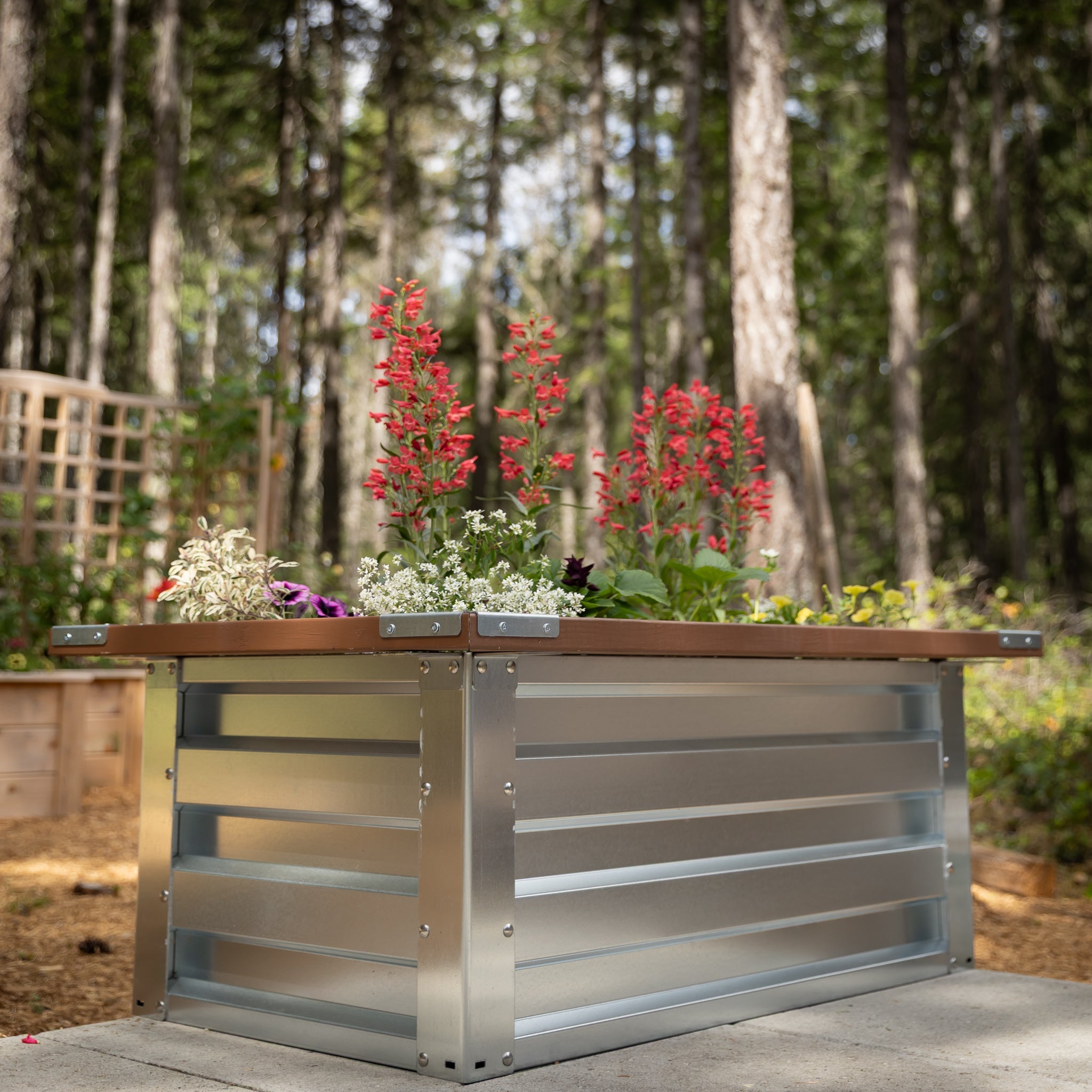 2' x 3.5' Galvanized Steel Raised Garden Bed Kit Chrome