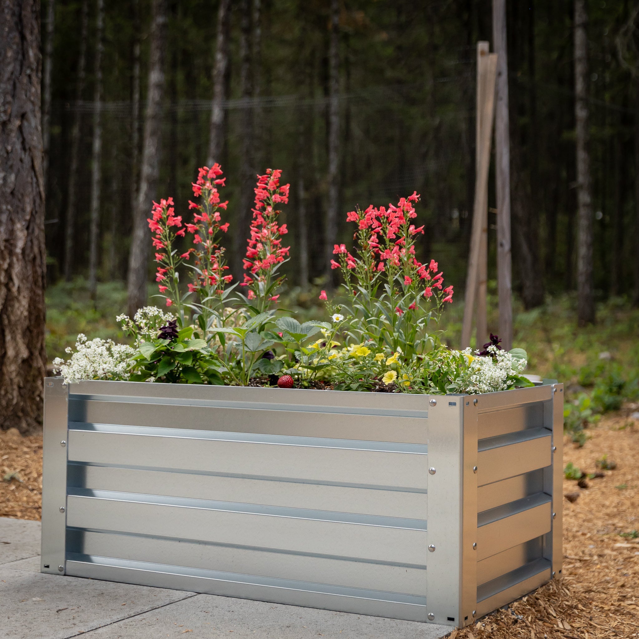 2' x 3.5' Galvanized Steel Raised Garden Bed Kit Chrome