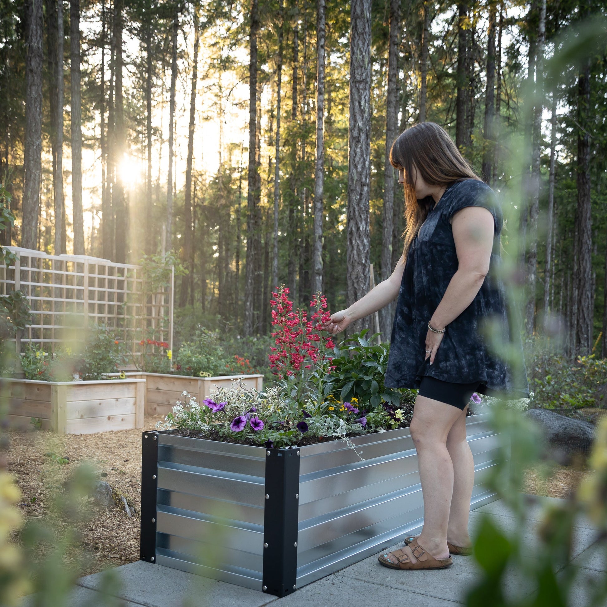 2' x 7' Galvanized Steel Raised Garden Bed Kit Chrome