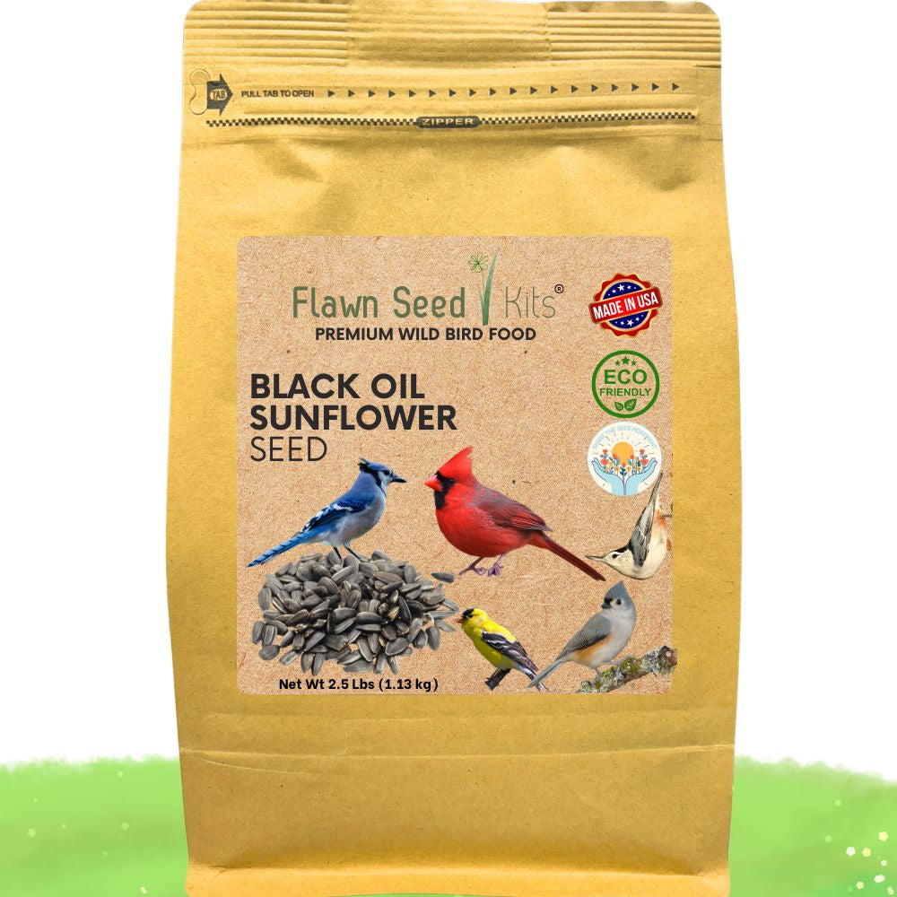 Premium Wild Bird Seed - Black Oil Sunflower