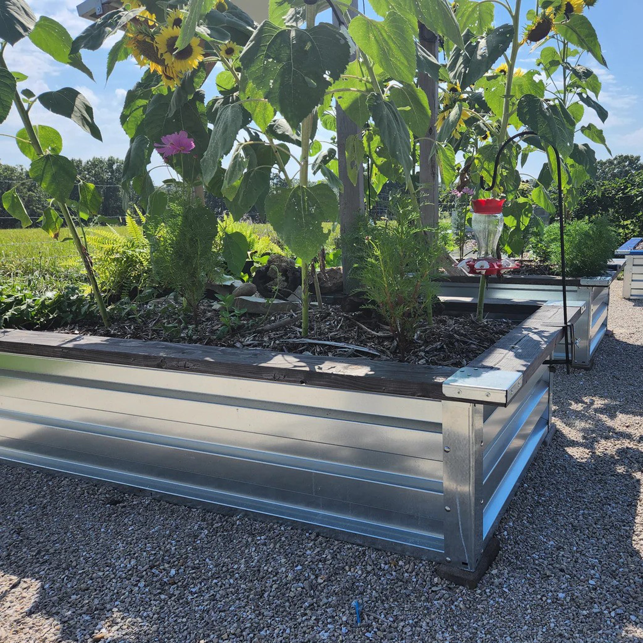 2' x 7' Galvanized Steel Raised Garden Bed Kit