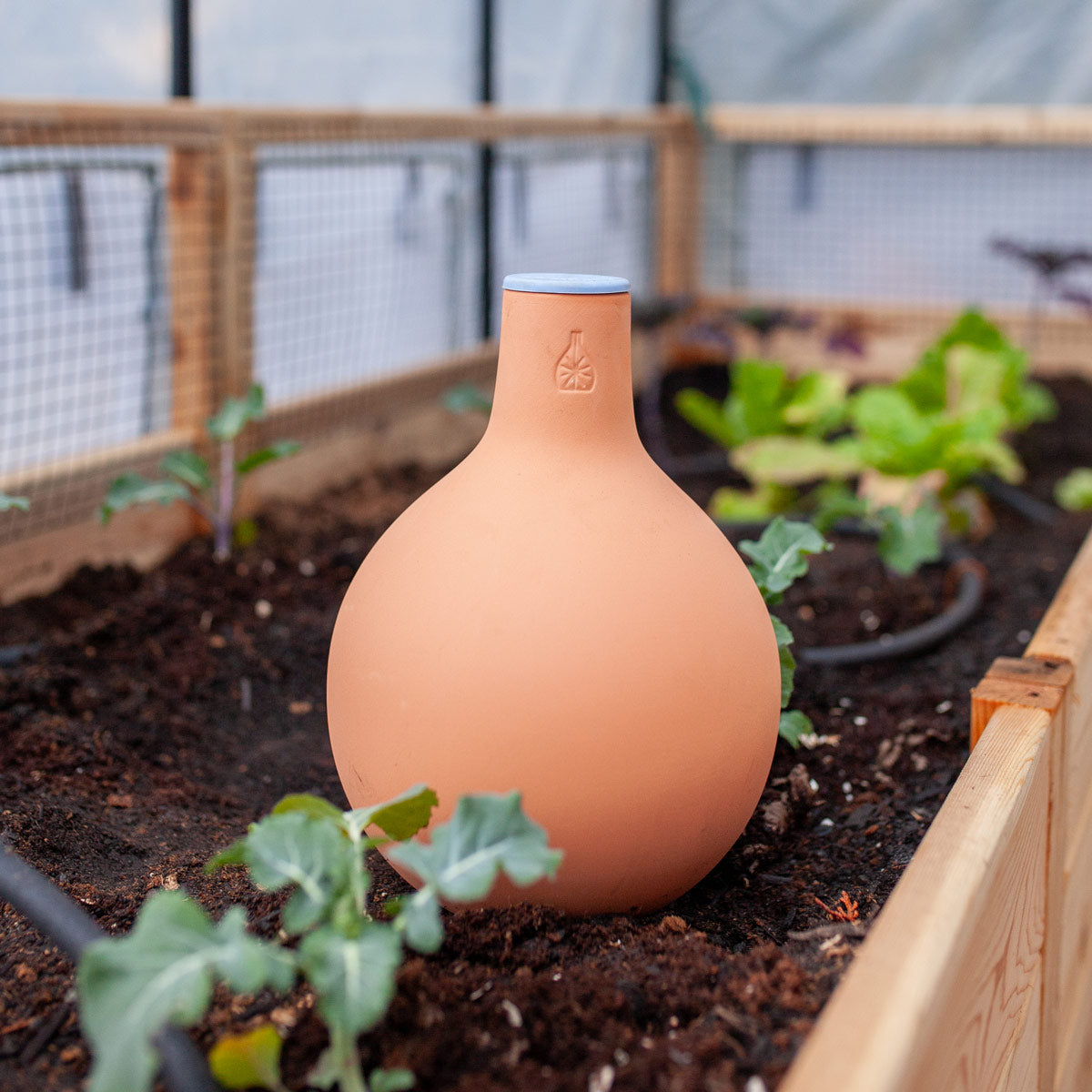 Oya Clay Watering Vessel