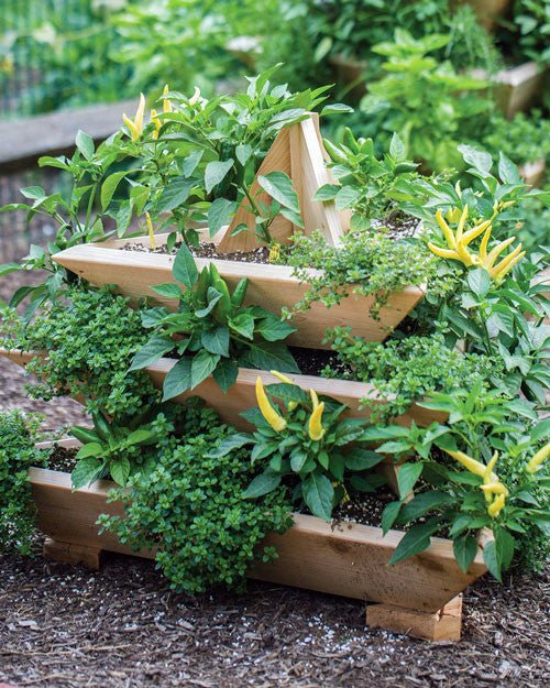 3 Level Plant Pyramid
