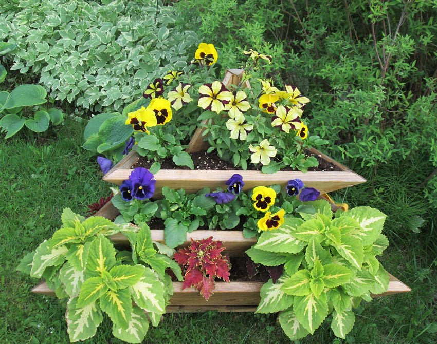 3 Level Plant Pyramid