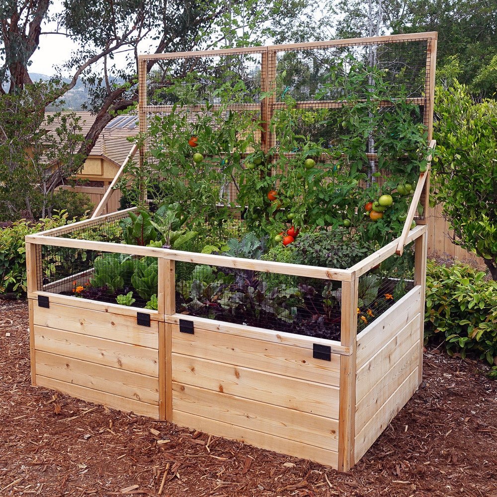 3' x 6' Raised Garden Bed With Hinged Fencing and Trellis