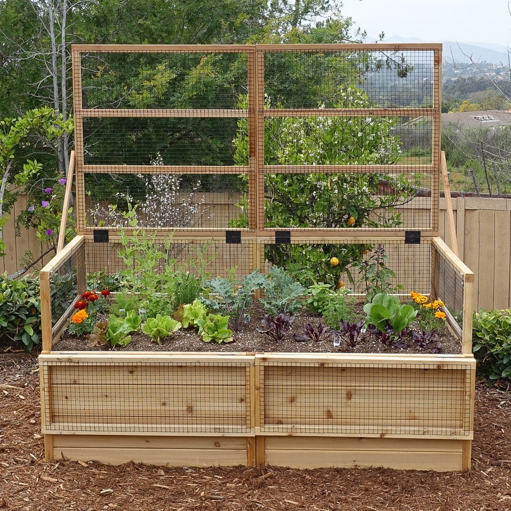 3' x 6' Raised Garden Bed With Hinged Fencing and Trellis