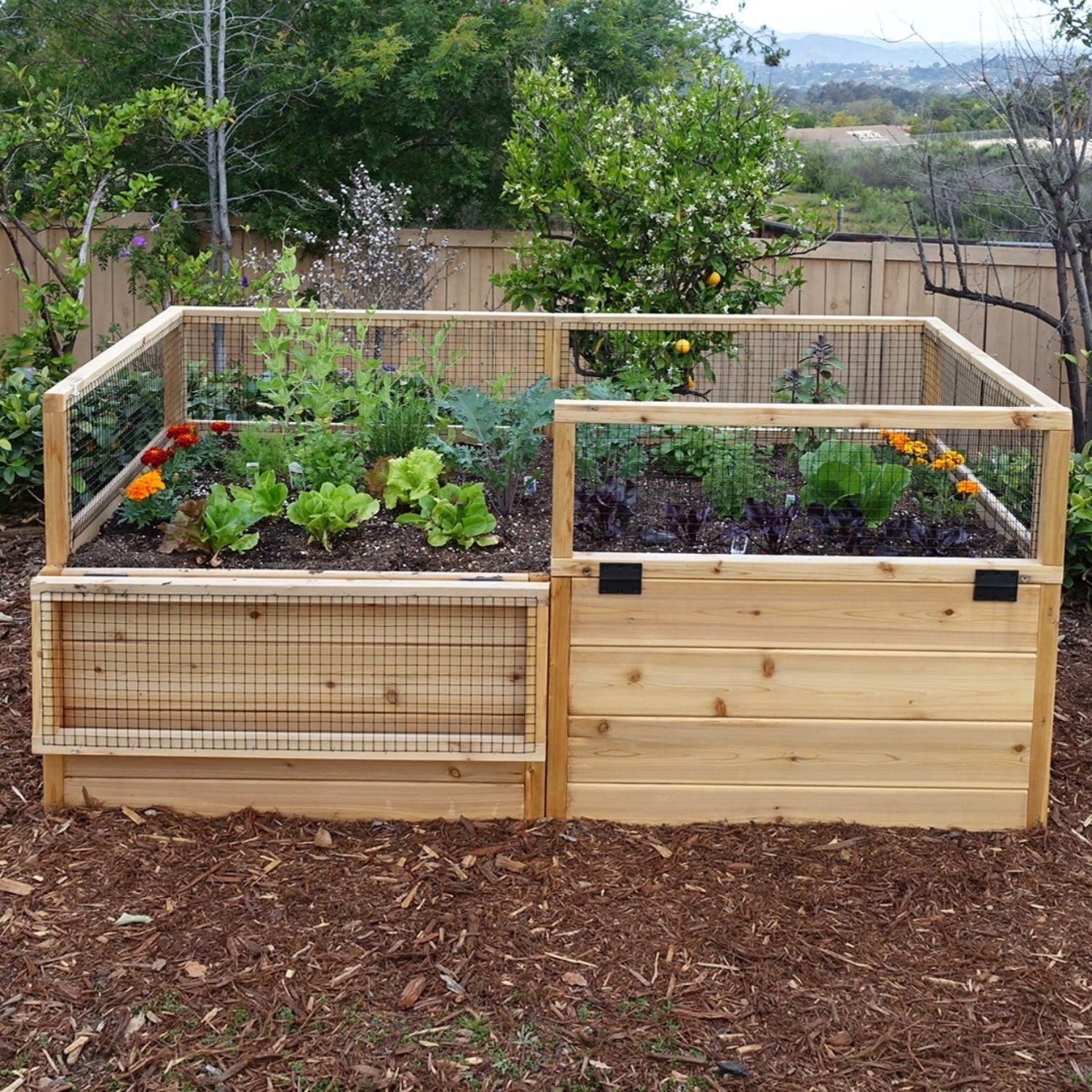3' x 6' Raised Garden Bed With Hinged Fencing