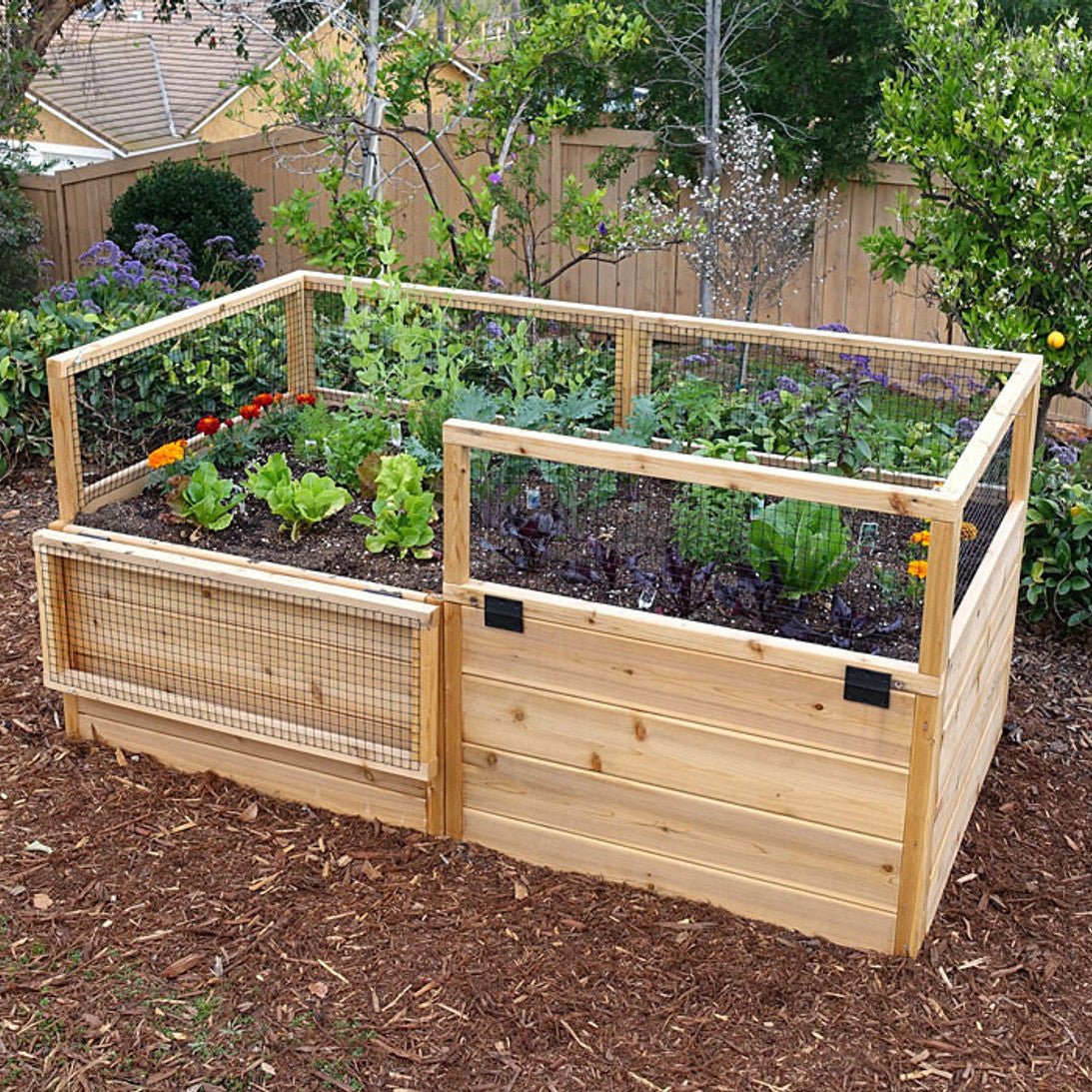3' x 6' Cedar Raised Garden Bed with Hinged Fencing - Eartheasy