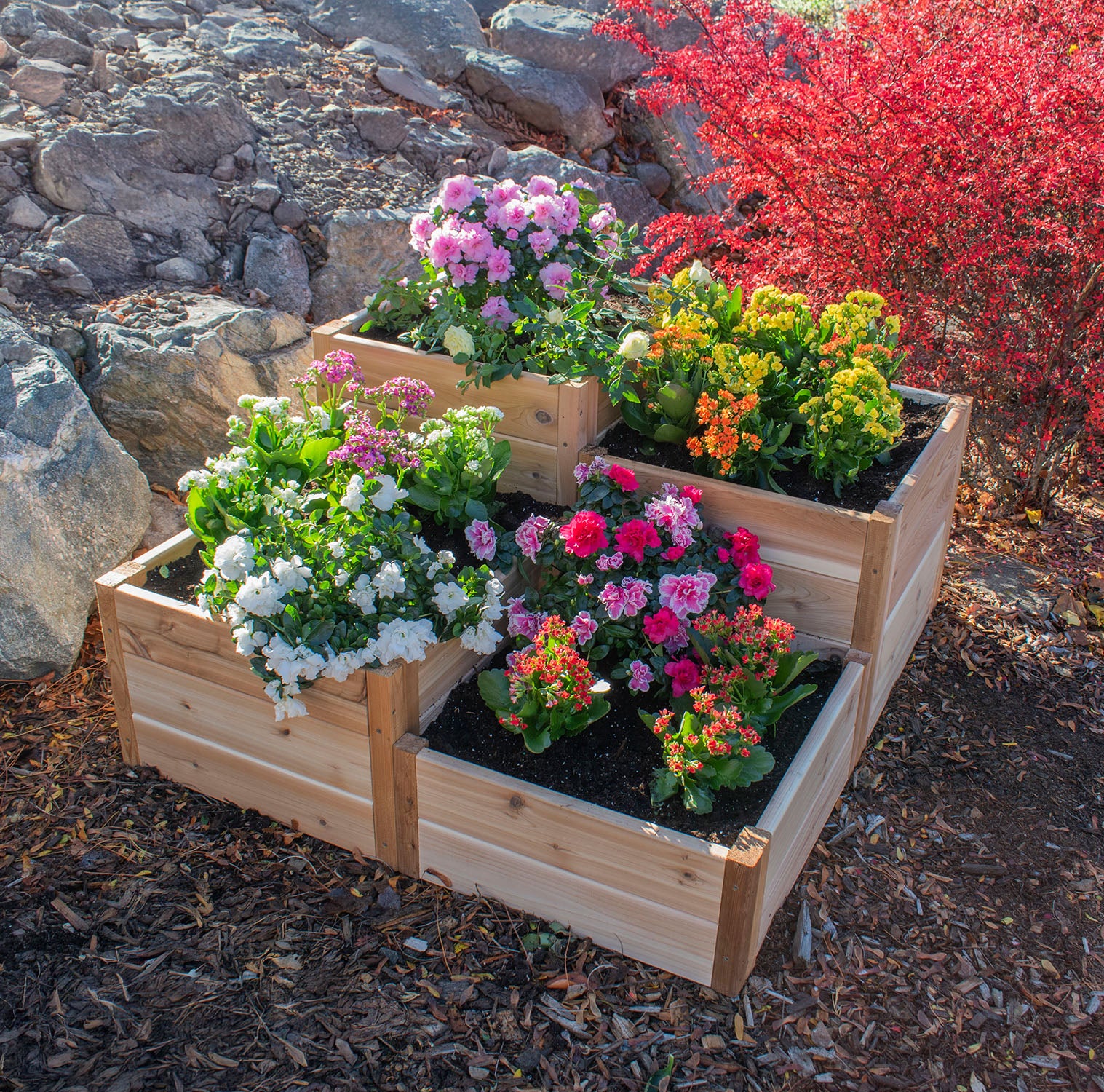Tiered Corner Cedar Garden Bed  3.5' × 4'