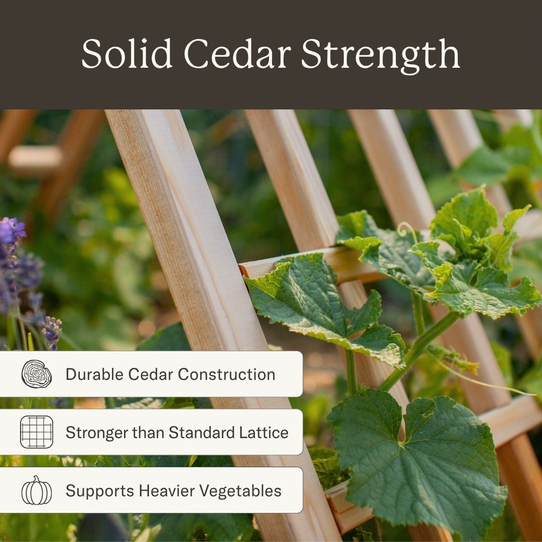 Natural Cedar A-Frame Trellises