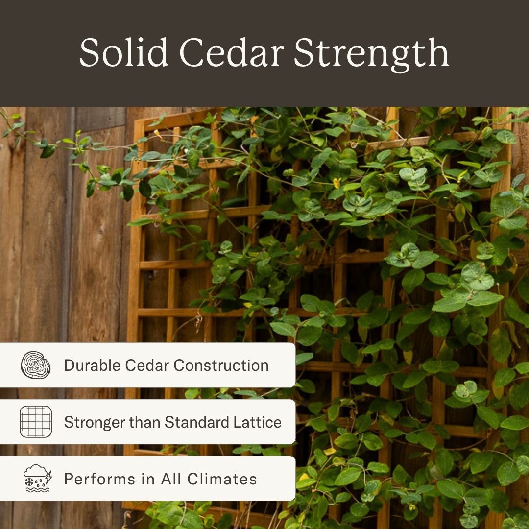 Natural Cedar Wall Mounted Trellises