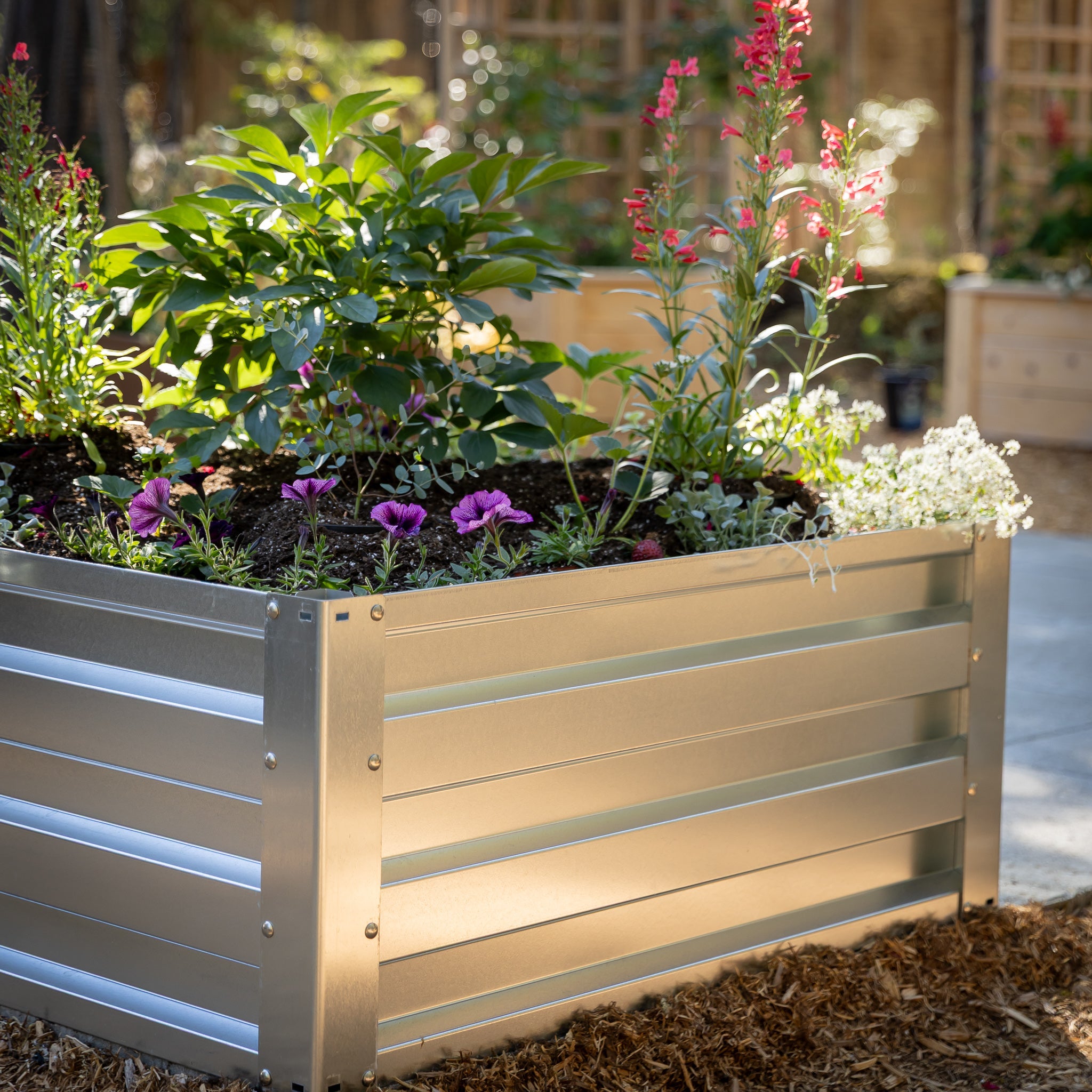 3.5' x 3.5' Galvanized Steel Raised Garden Bed Kit Chrome