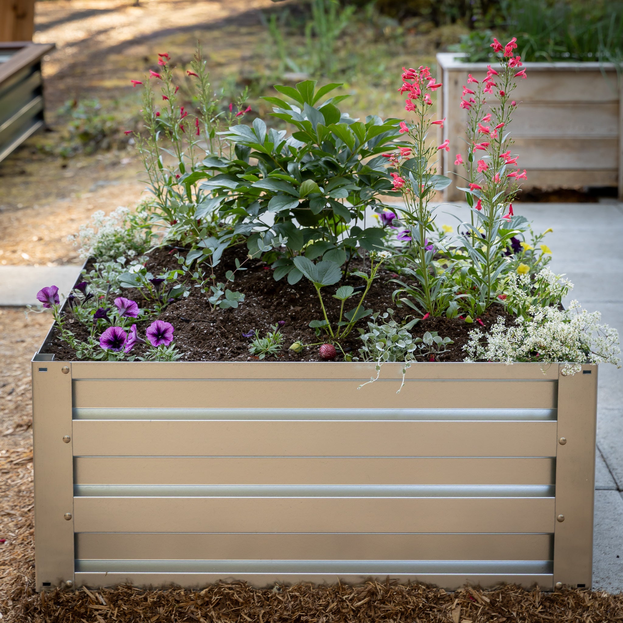 3.5' x 3.5' Galvanized Steel Raised Garden Bed Kit Chrome