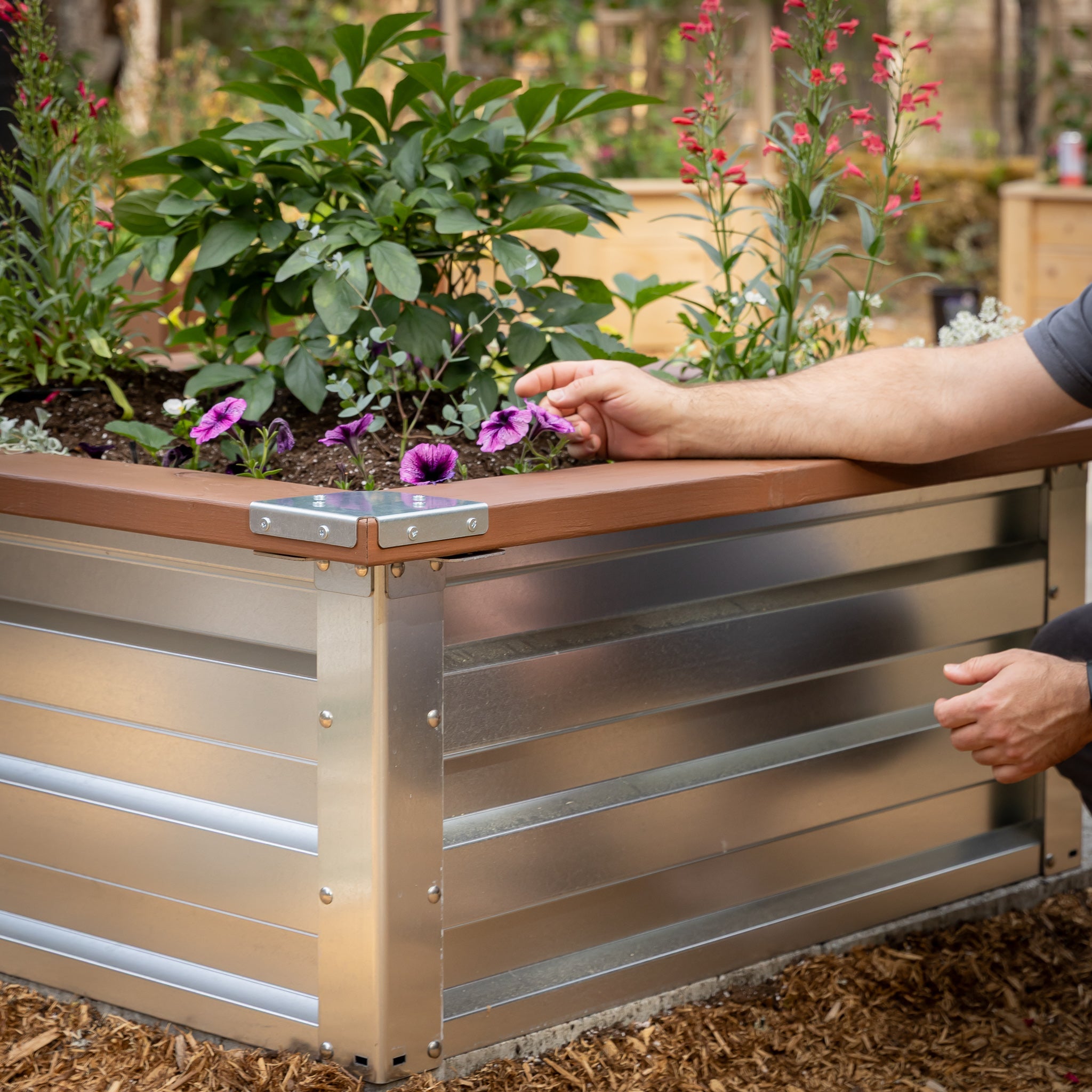 3.5' x 3.5' Galvanized Steel Raised Garden Bed Kit Chrome option3