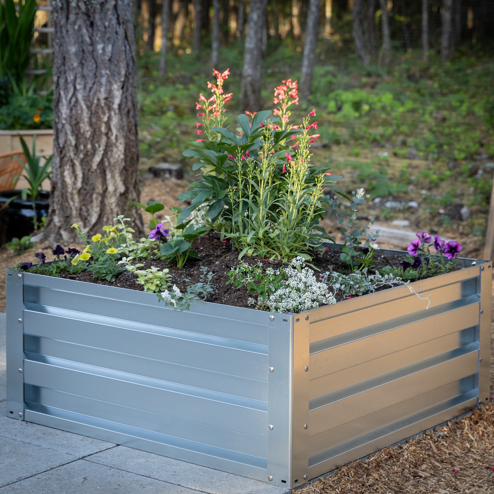 3.5' x 3.5' Galvanized Steel Raised Garden Bed Kit Chrome